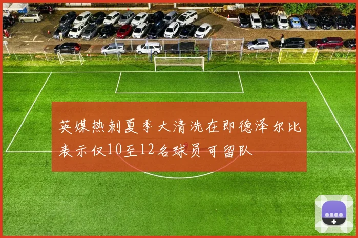 英媒热刺夏季大清洗在即德泽尔比表示仅10至12名球员可留队