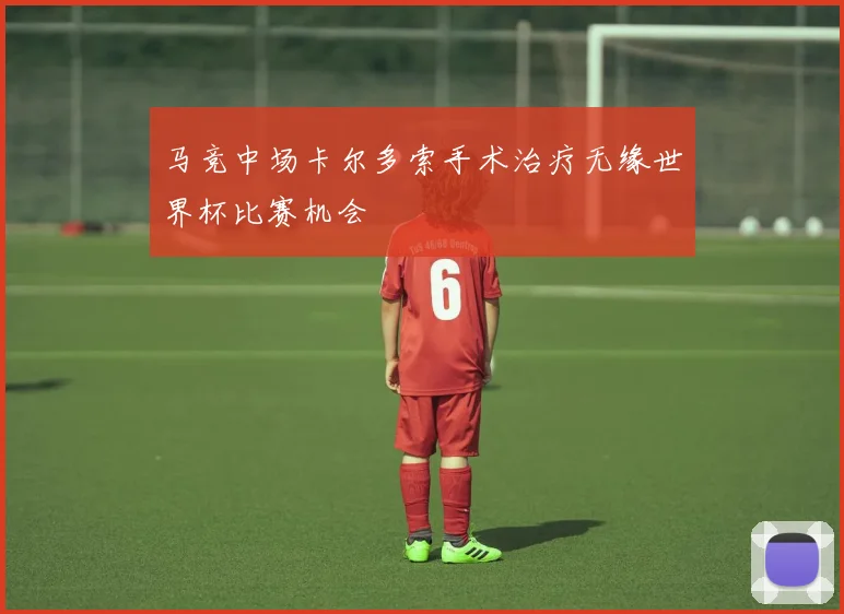 马竞中场卡尔多索手术治疗无缘世界杯比赛机会